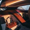 BMW Speedtop luggage bags