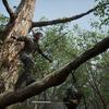 Ein Remake, das Fans lieben werden: Journalisten teilen ihre Eindrücke von Metal Gear Solid Δ: Snake Eater Demo-6