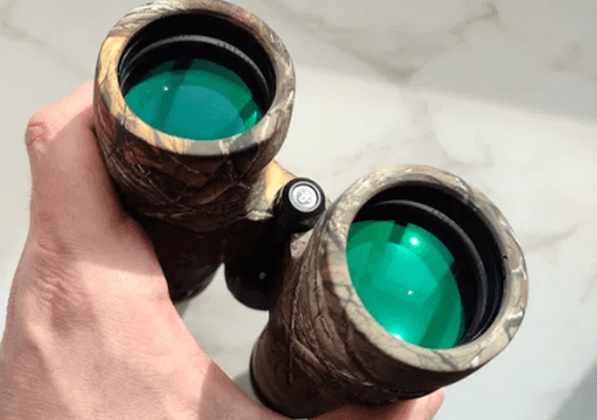 Bushnell Trophy ist das beste 10x42-Fernglas für sein Geld