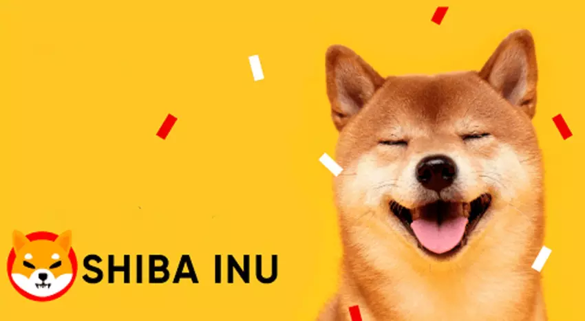 Nutzer investiert $8.000 in die Kryptowährung Shiba Inu und verdient mehr als $5.000.000