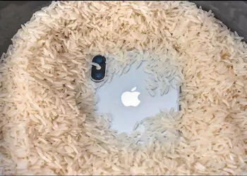 Apple fordert Nutzer auf, nasse iPhones ...