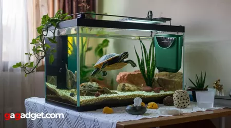 Bester Filter für Schildkrötenaquarium