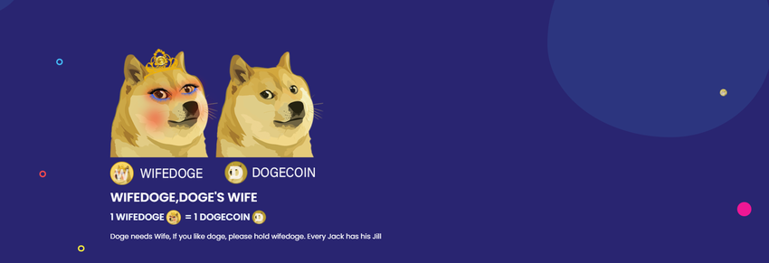 Dogecoin-Klon über Nacht um fast 1000% gestiegen