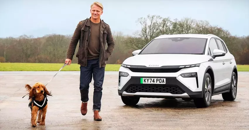 Hunde entscheiden sich für Elektroautos: Studie belegt weniger stressige Fahrten