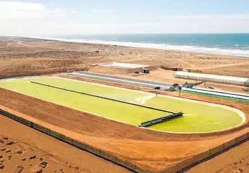 Der weltgrößte Algenwachstumsteich nutzt naturbasierte Technologie ...