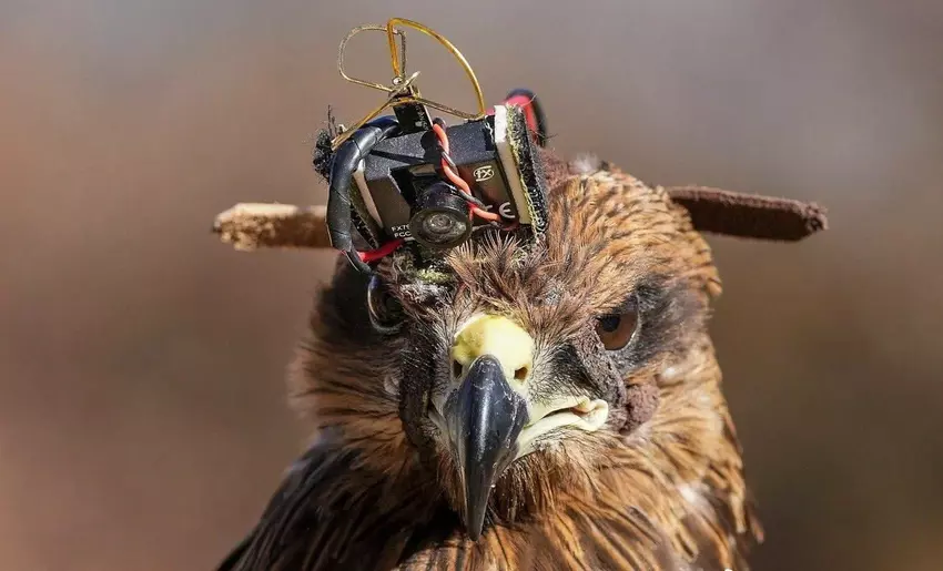 Indische Soldaten haben Drachen mit 40-Dollar-AliExpress-Kameras ausgestattet, um Drohnen zu bekämpfen und das chinesische Militär auszuspionieren