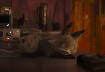 Disney hat ein 12-stündiges Video von ...