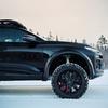 Gestaltungselemente des Q6 Sportback E-Tron