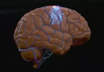 Synchron ist das erste Unternehmen, das ...