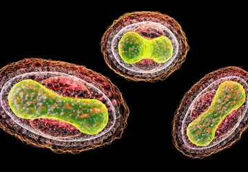 KI-basierte Chatbots könnten bei der Planung ...
