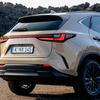 Lexus NX Overtrail mit schwarzem Kunstleder