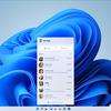 Skype-Screenshot Bild 2