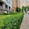 ASUS ZenFone 8 im Test-319 ASUS ZenFone 8 im Test-319