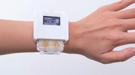 Wissenschaftler haben eine intelligente Uhr mit einem lebenden Organismus entwickelt, der gefüttert werden muss - die Funktionalität des Gadgets hängt von der Gesundheit des Lebewesens ab