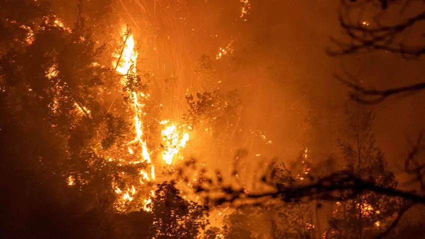 Waldbrände befeuern eine gefährliche Rückkopplungsschleife der arktischen Erwärmung