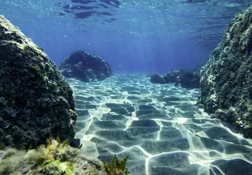 Wissenschaftler kartieren fast ein Viertel des ...