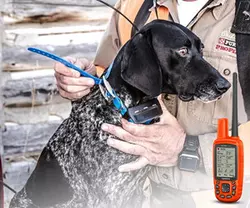 Garmin Astro 430/T 5 Dog Tracking Bundle