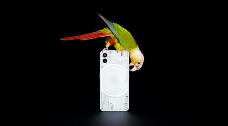 Nothing Phone (1) wird bald eine Beta-Version von Android 14 erhalten