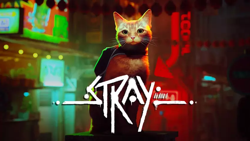 Die rothaarige Protagonistin von Stray wird von zwei Katzen gespielt - und weitere Details zum Projekt