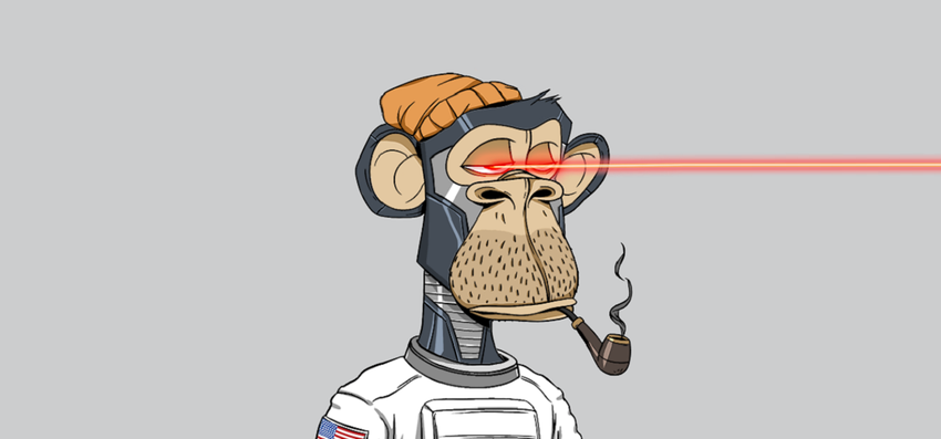 Der Fotograf kaufte NFT für 310 US-Dollar und verkaufte es sechs Monate später für 1.400.000 US-Dollar