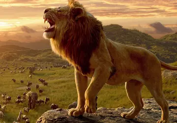Disney hat den Trailer für "Mufasa: ...