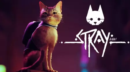 Cyberpunk mit Katze: Der Indie-Hit Stray ist bis zum 3. Juni auf Steam 35% günstiger