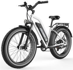Himiway All Terrain Elektrofahrrad