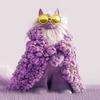 Einzigartiges Katzendesign bei Catly