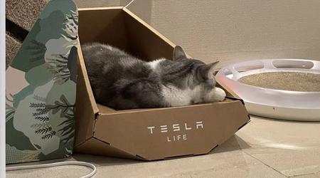 Es sieht so aus, als hätte Tesla das Design einer Katzenliege im "Cybertruck-Stil" von einer taiwanesischen Firma gestohlen
