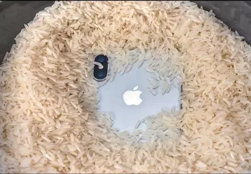 Apple fordert Nutzer auf, nasse iPhones ...