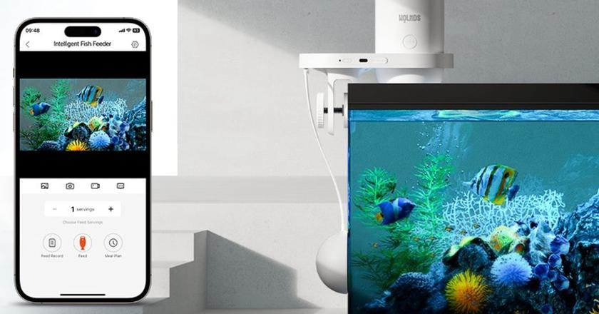 Wolmds Fischfütterungsautomat Batterie