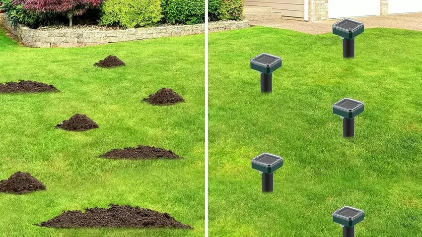 Bestes solarbetriebenes Maulwurfsabwehrmittel