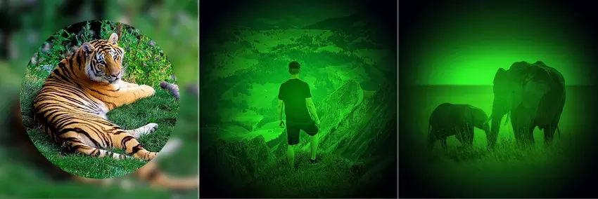 Low light monocular features