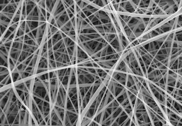 Wissenschaftler haben Spaghetti entwickelt, die 1000-mal ...