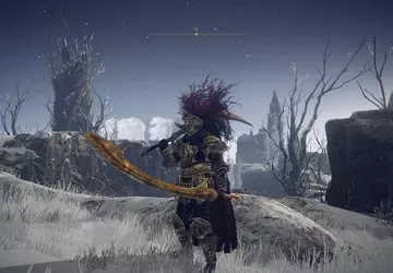 Verkaufe Ds Rüstung nicht in Elden ...