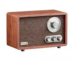 Cyberlux Bluetooth-Radio mit integrierten Lautsprechern