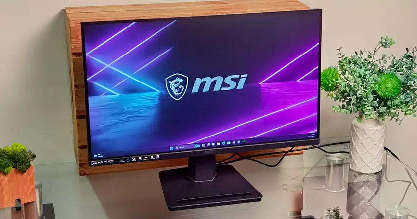 MSI PRO MP251 Monitor Test