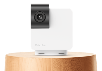 Petcube Cam 360: Haustierkamera mit 360°-Drehung, ...