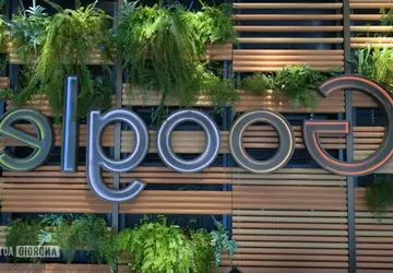 Mit Google Fotos können Sie gespiegelte ...