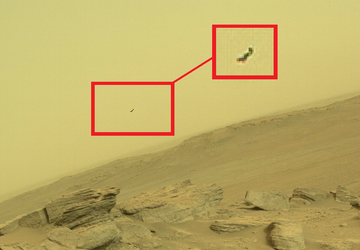 Fliegende Ameisen und UFOs auf dem ...