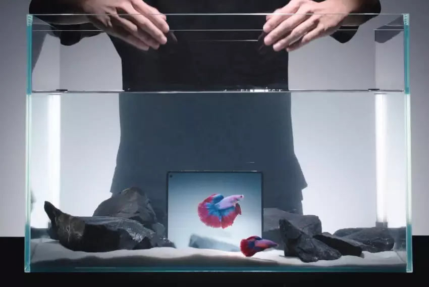 Vivo X Fold 5 kann bis zu 3 Meter untergetaucht und 1000 Mal unter Wasser gefaltet werden (Video)