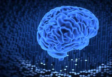 Cortical Labs hat ein menschliches "Mini-Hirn" ...