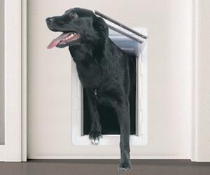 PERFECT PET Die allwettertaugliche, energieeffiziente Hundetür