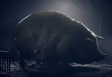 Das Interesse an Reanimal ist riesig: ...