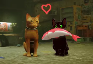 Der Autor von Katzenspielen organisierte einen ...