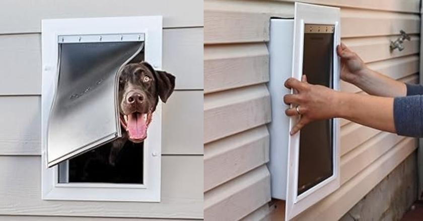 PetSafe New Wall Entry elektronische Hundetür