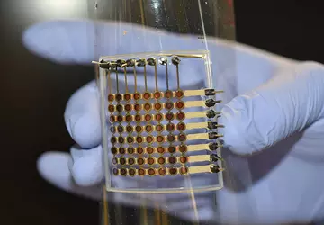 Wissenschaftler haben erstmals ein 3D-gedrucktes flexibles ...