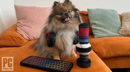 HyperX stellt Gaming-Zubehör vor... für Haustiere