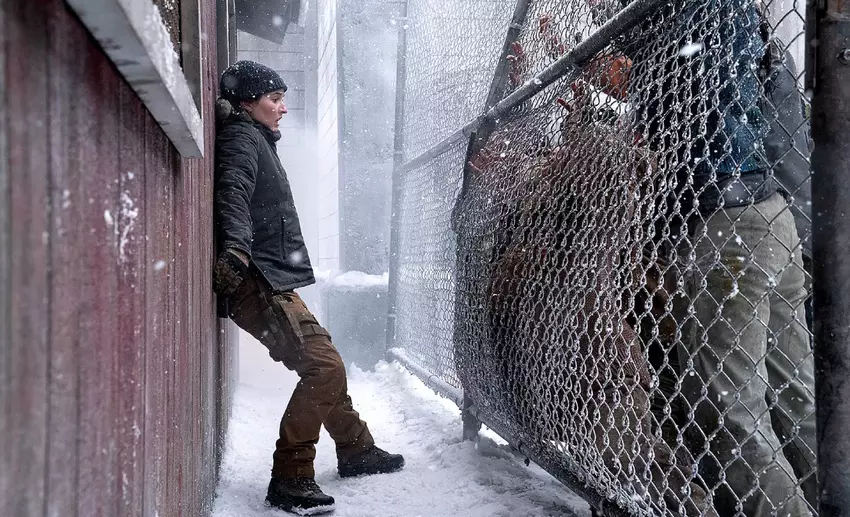 Der Weg der Rache geht weiter: Die letzte Folge von The Last of Us Staffel 2 ist vorbei, aber sie legt das Fundament für die Fortsetzung der brutalen Geschichte in Staffel 3