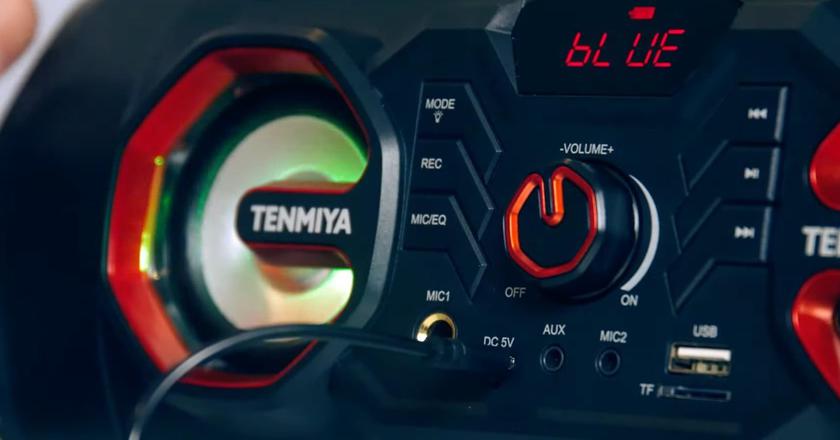 TENMIYA BT-A66 Lautsprecher mit Radio und Bluetooth